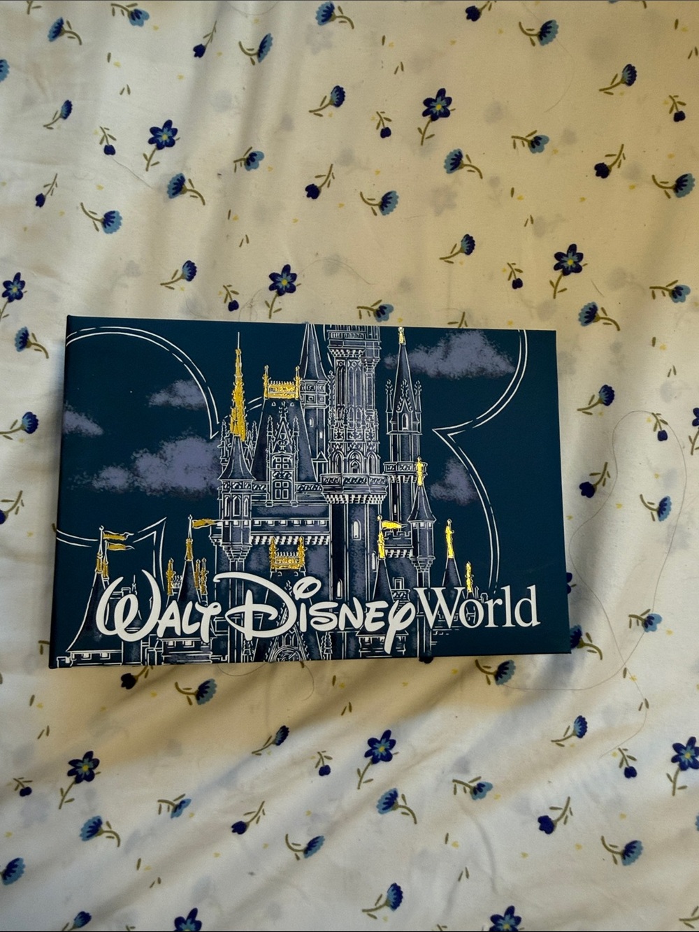 Disney world park exclusive photo album